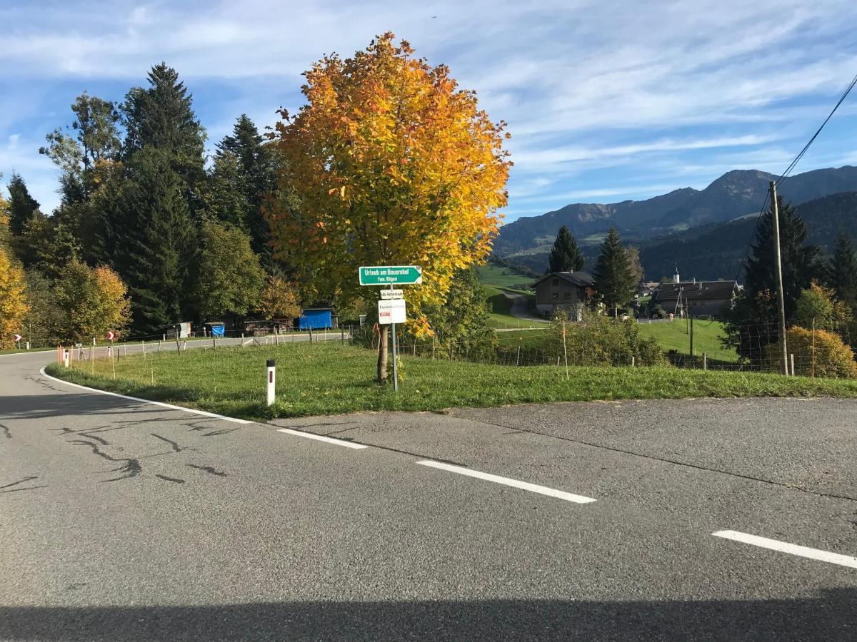 Villa Bauernhof Bilgeri Hittisau Exterior foto